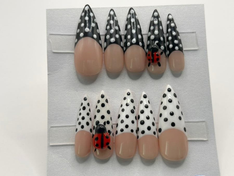 Ladybug